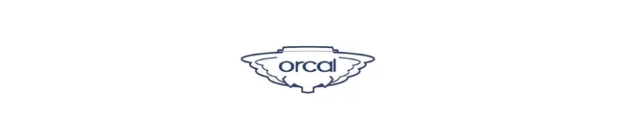 SCOOTER ORCAL 67